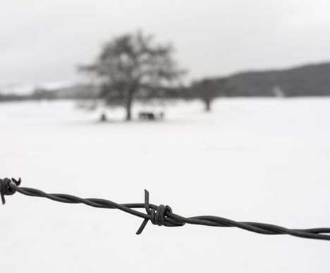 Trauer, Ergriffenheit, Abscheu: Gefühle beim Besuch von Auschwitz-Birkenau