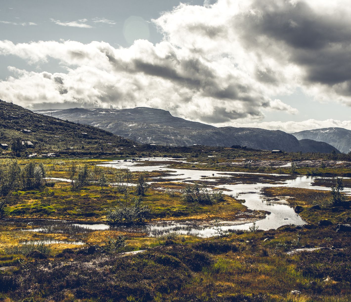 Hardangervidda