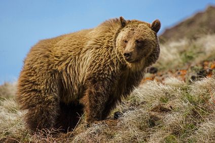 7. Bild der Rundreise