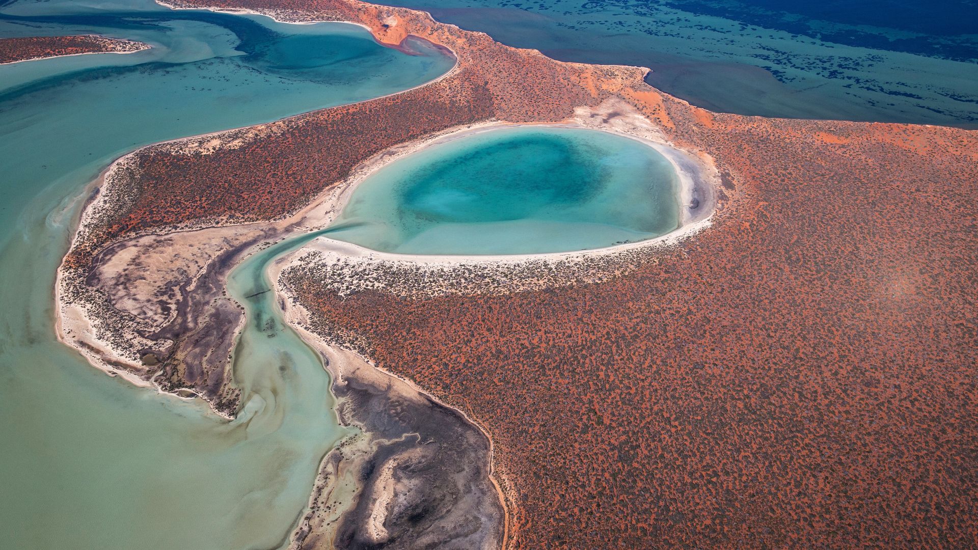 Une fantastique palette