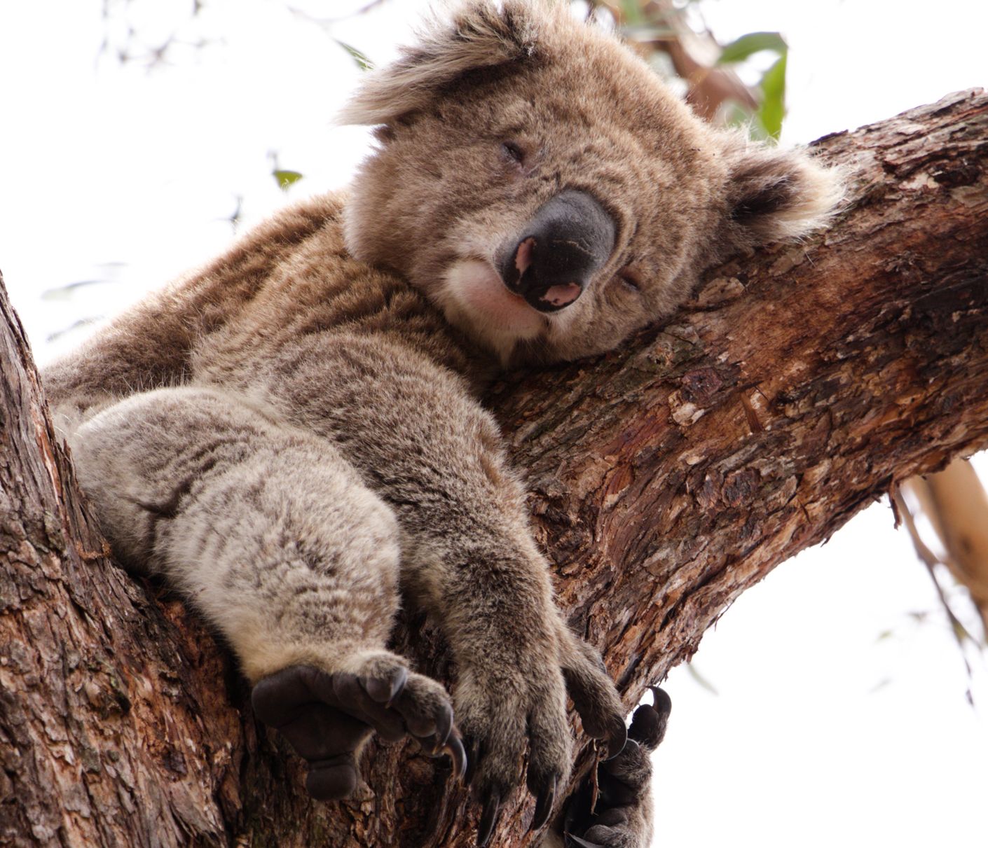 Bitte nicht stören!