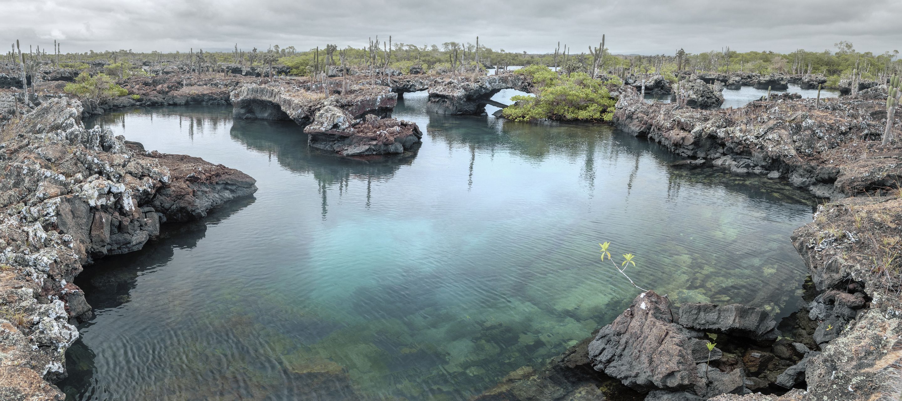 Eine bizarre Welt aus Lava