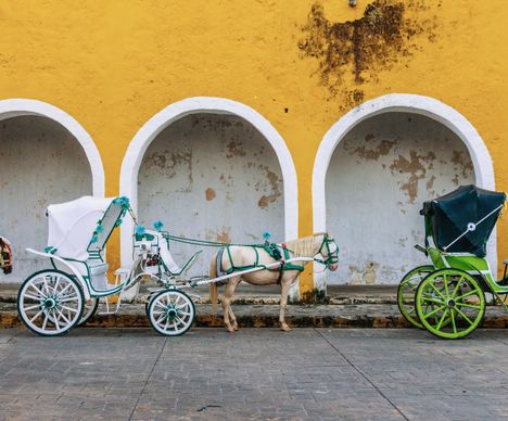 Izamal, die "gelbe Stadt"