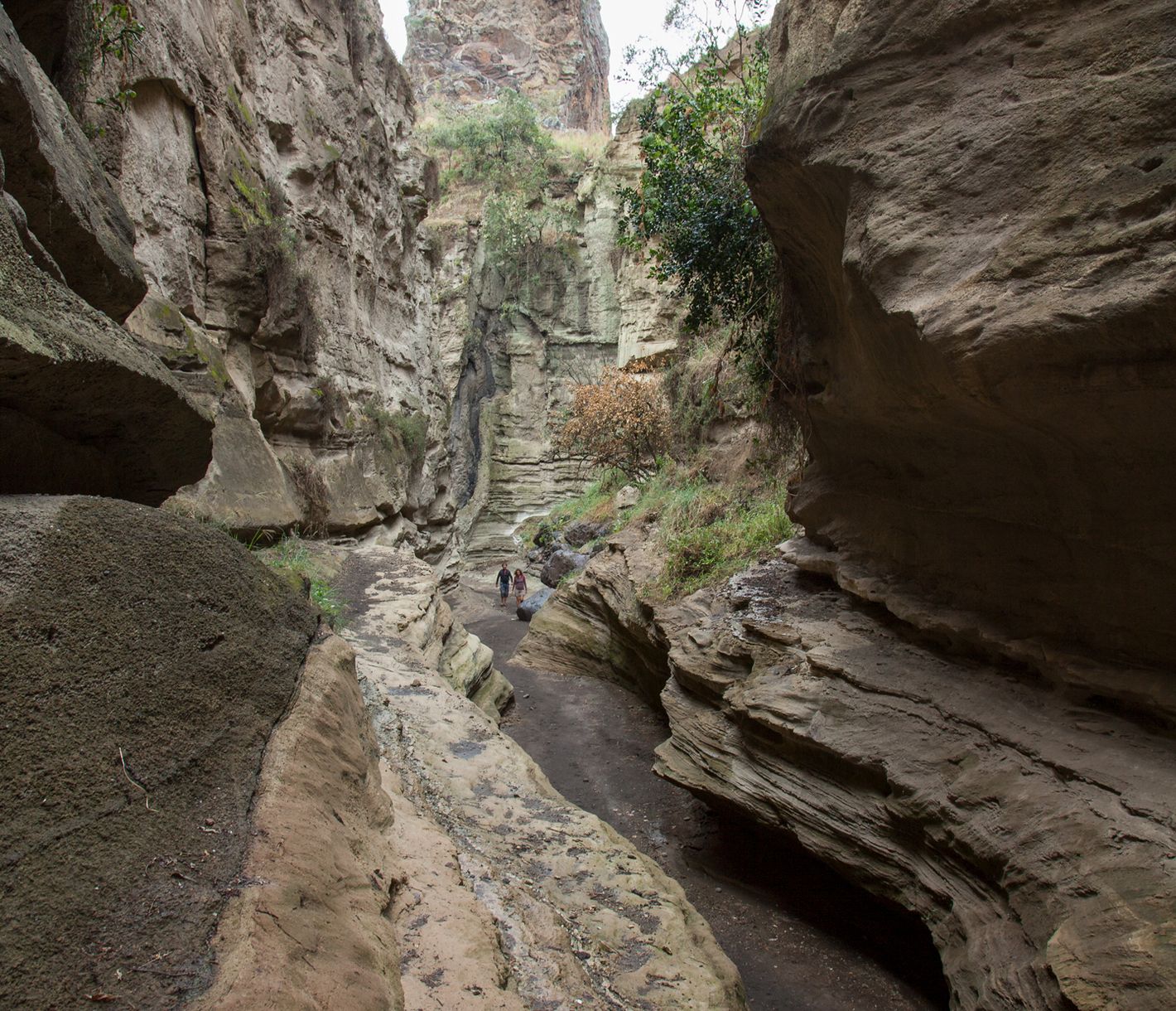 Schlucht im Hell's-Gate-Nationalpark