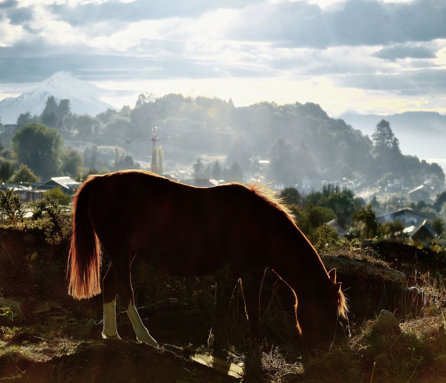 Puerto Varas, idyllisch gelegen am Ufer des Llanquihue-Sees