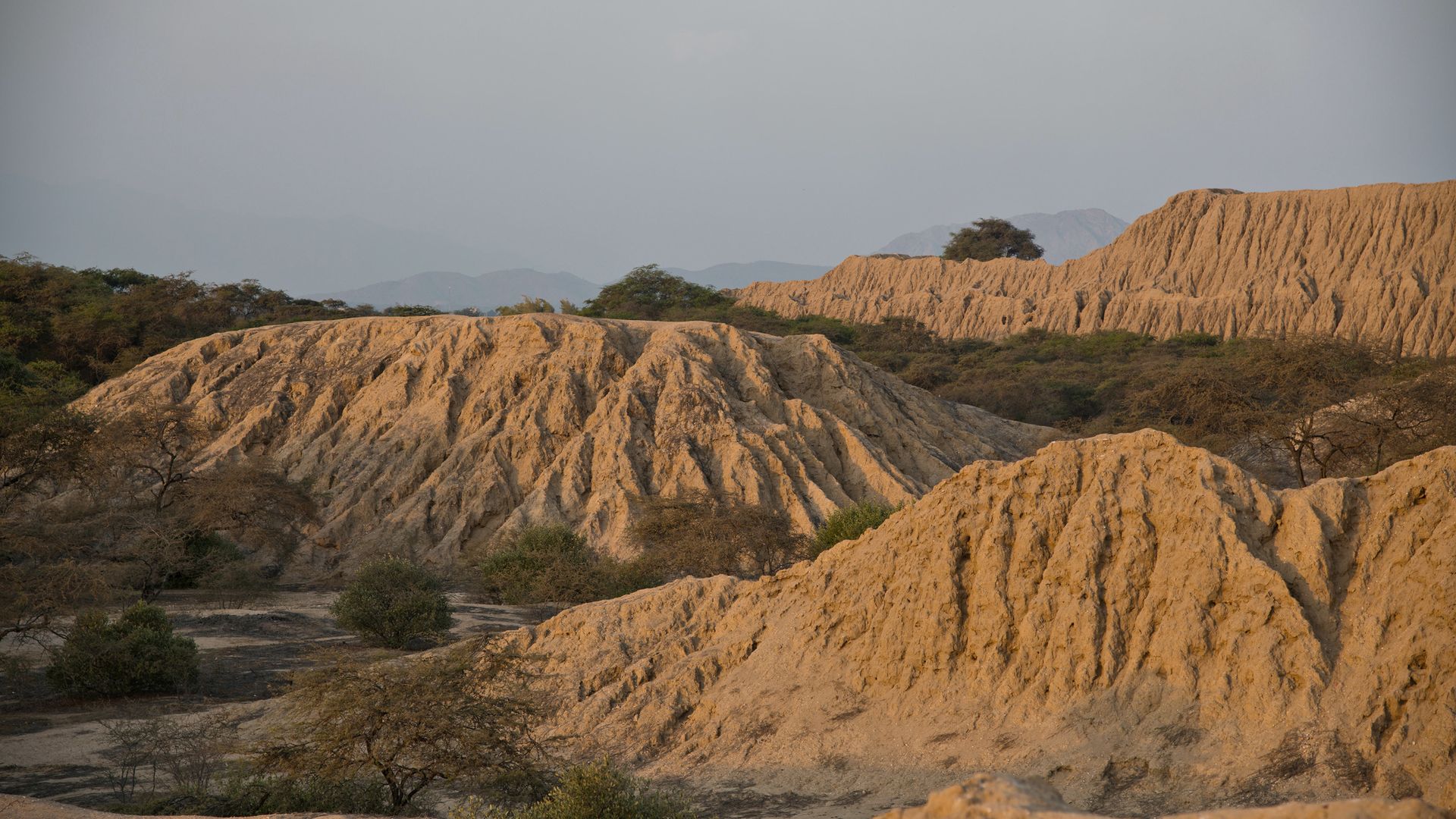 Tucume, un champs de 26 pyramides