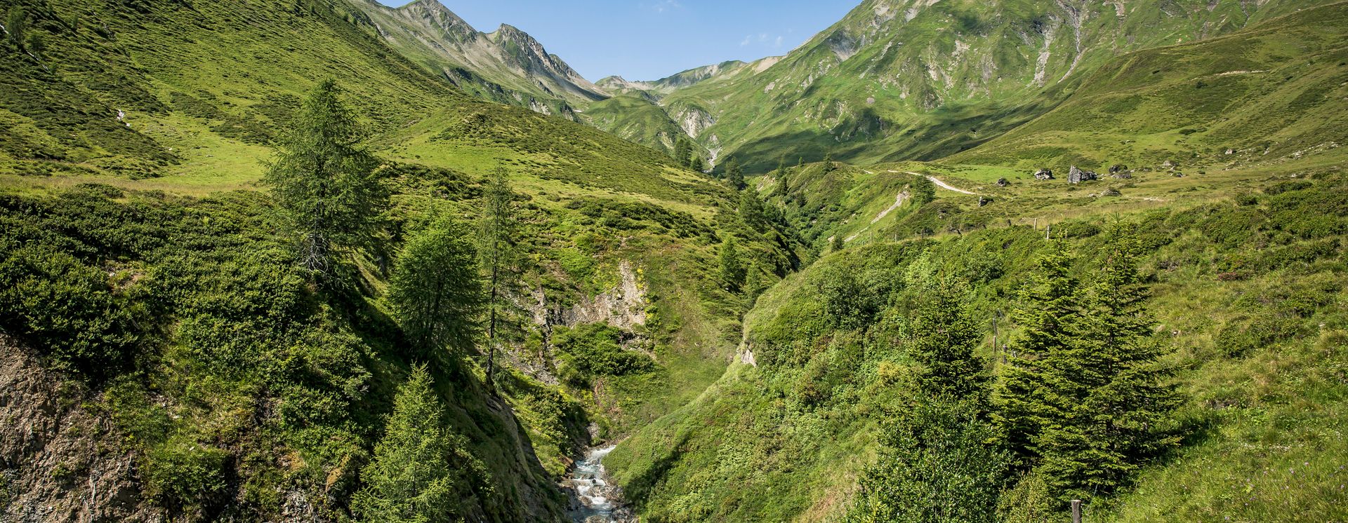 © Zillertaltourismus, Bernhard Huber