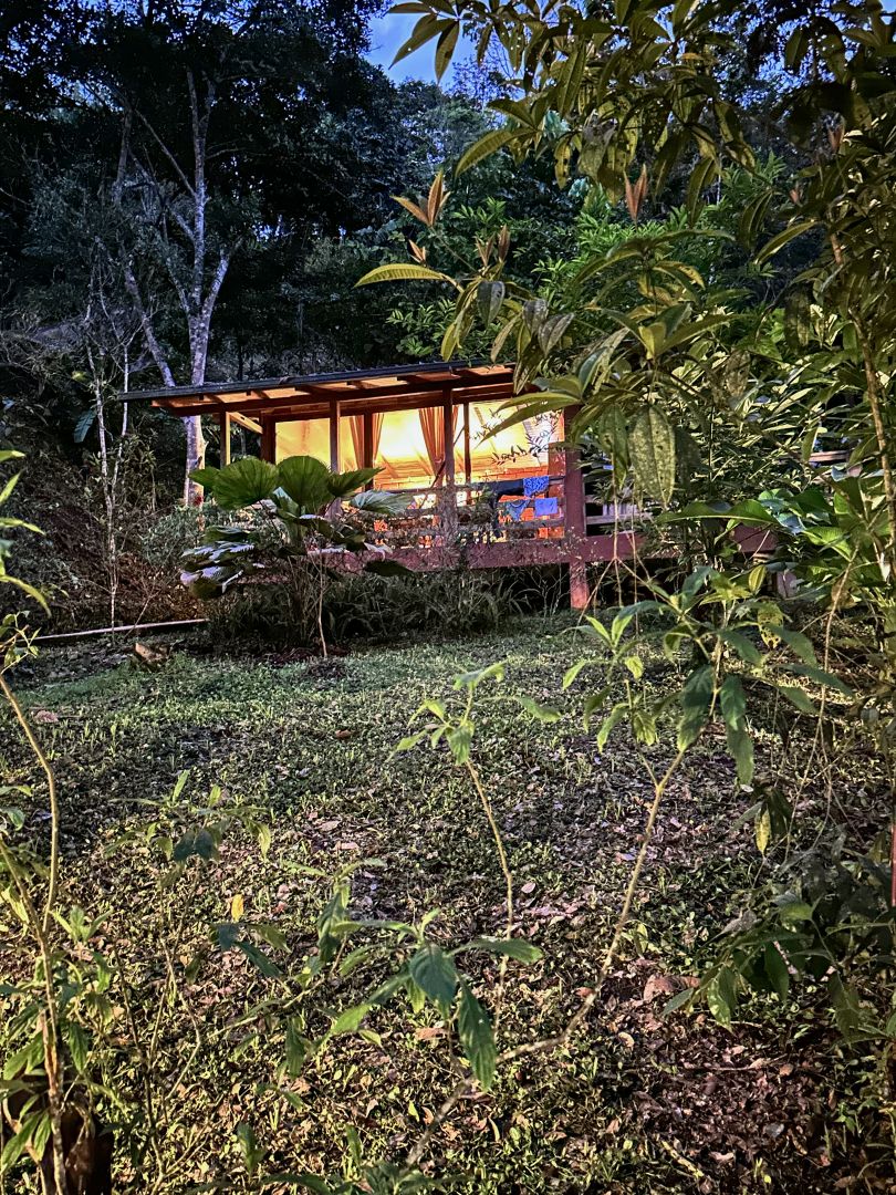 Im Einklang mit der Natur in der Piripe Wellness Lodge