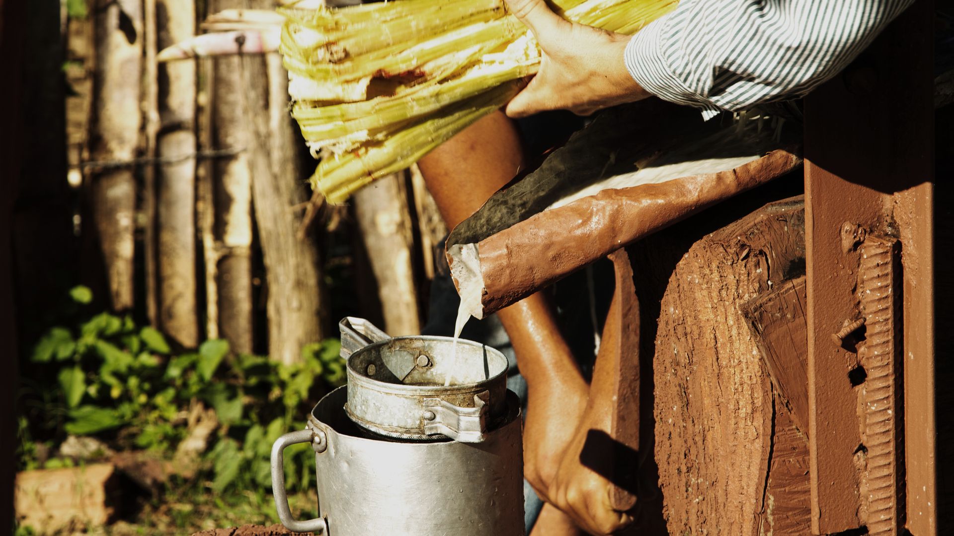 Sich den Zucker verdienen