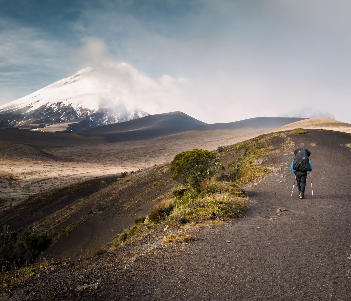 Im Einklang mit der Natur