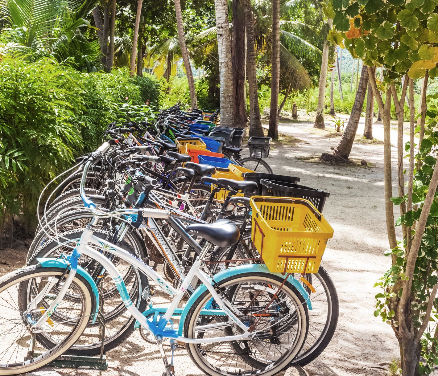Parkplatz unter Palmen – das Fahrrad ist das beliebteste Fortbewegungsmittel auf La Digue.