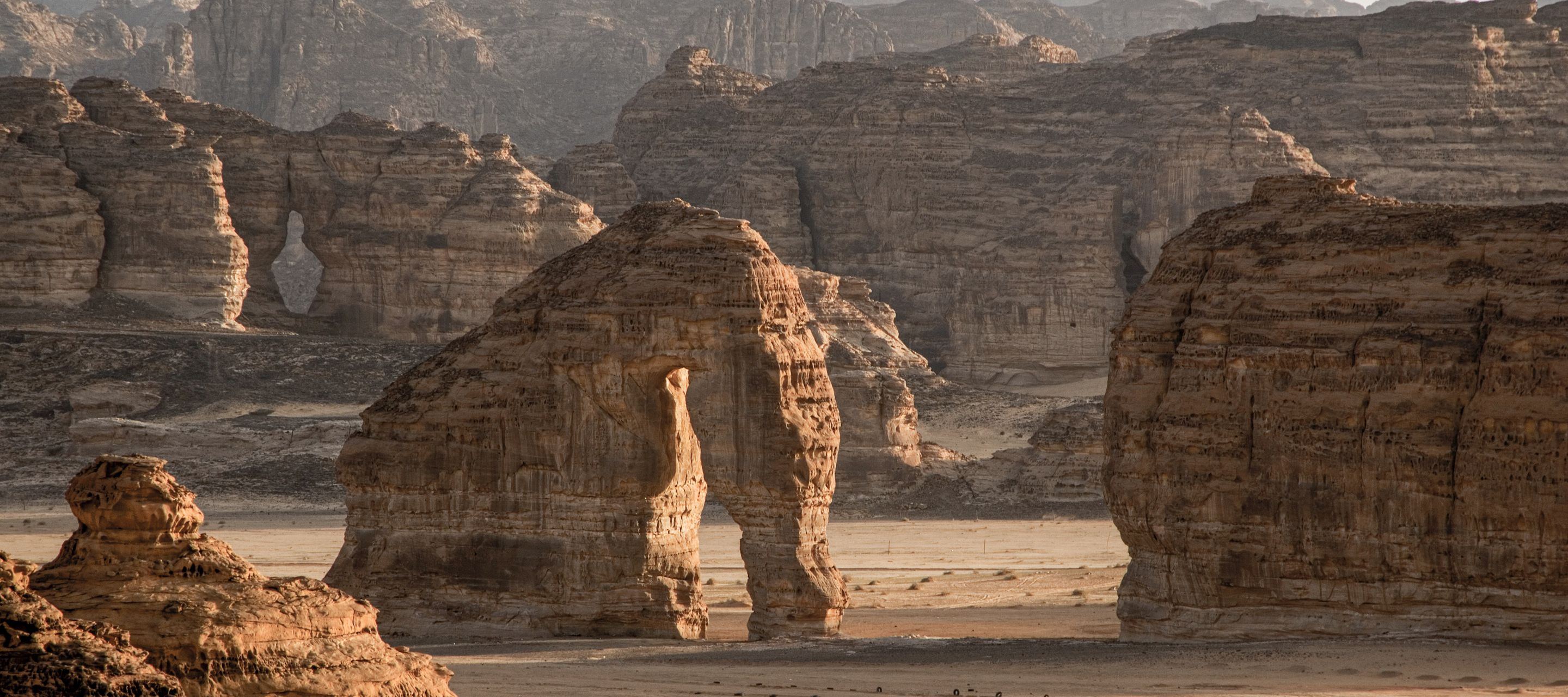 Sanfter Gigant im goldenen Licht des Sonnenuntergangs in AlUla