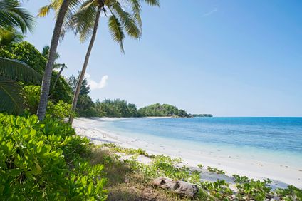 38. Bild der Unterkunft