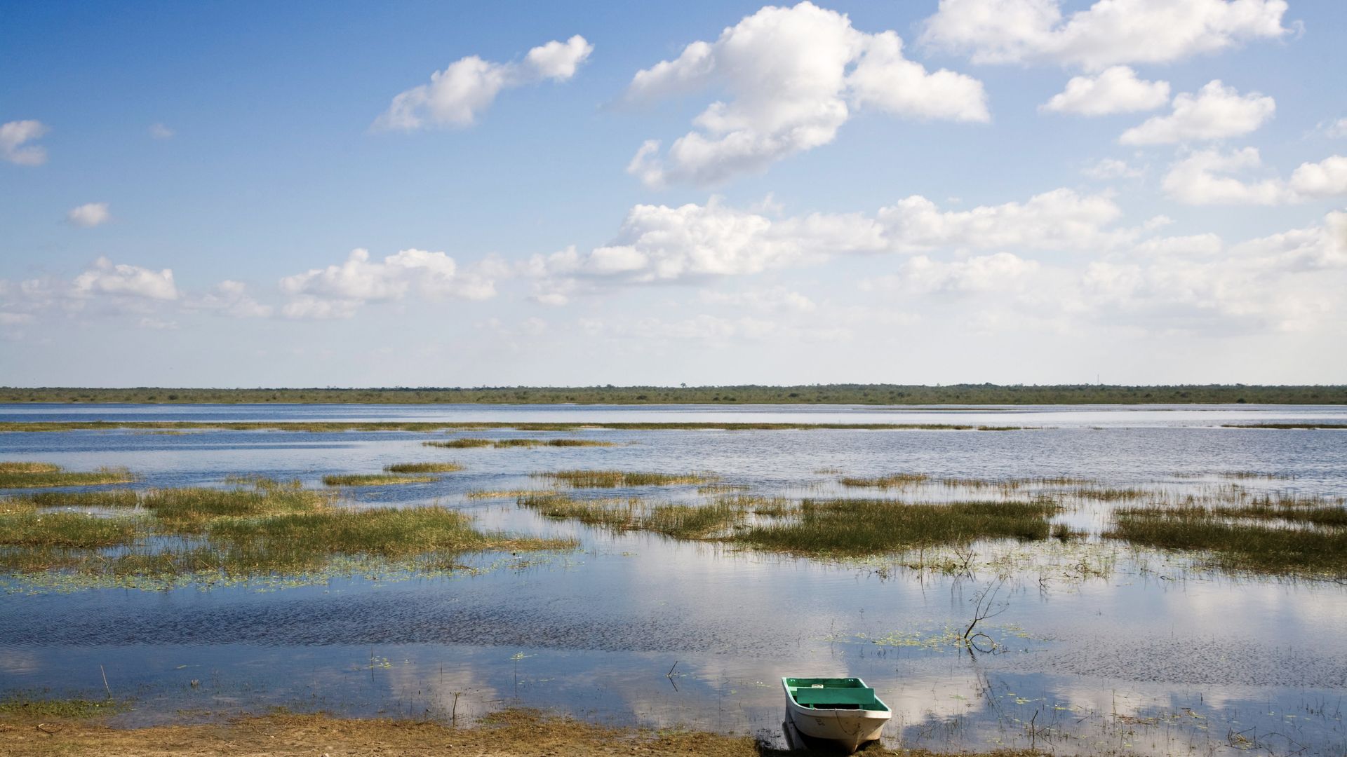 Crooked Tree Wildlife Sanctuary, une zone protégée est constituée de savanes humides, de lagunes et de criques