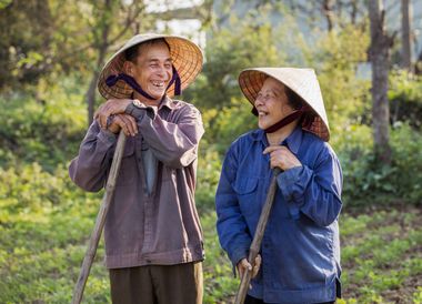 Relevons vos manches et offrez aux paysans de l’aide pour la culture de leur riz.