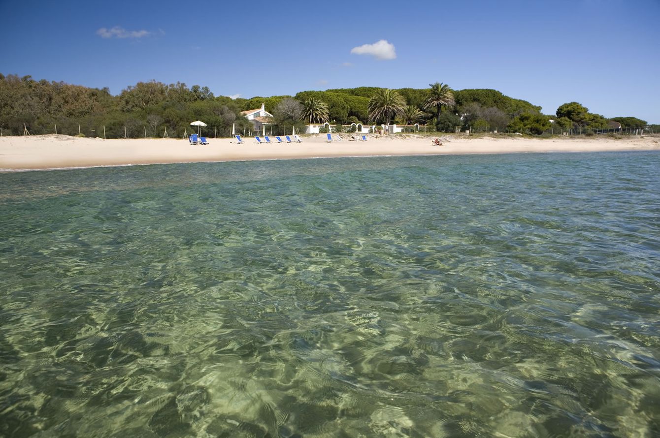 Mare Pineta