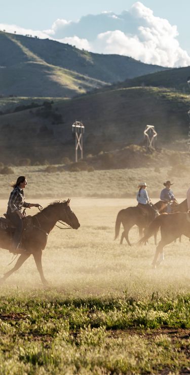 Les High Plains autour de Lubbock comptent de nombreux ranchs et la culture cow-boy y est omni-présente.