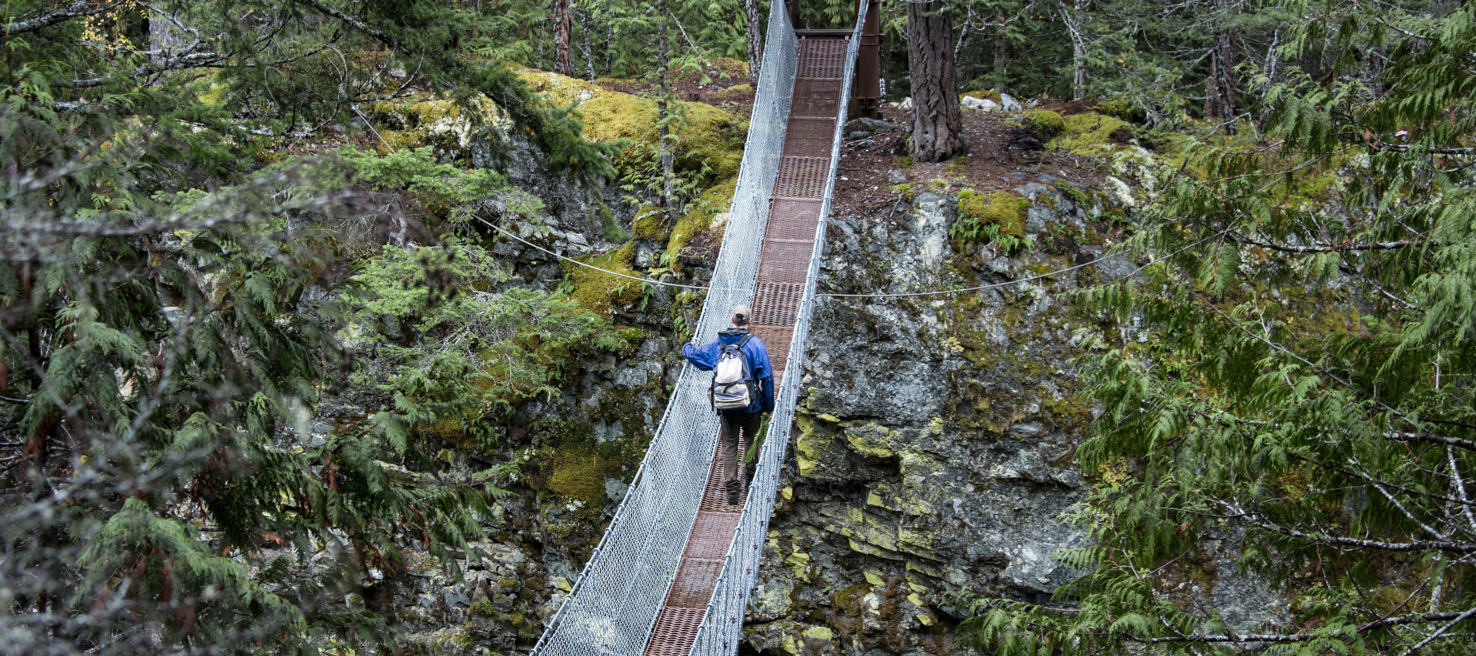 Zu Fuss durch den Great Bear Rainforest