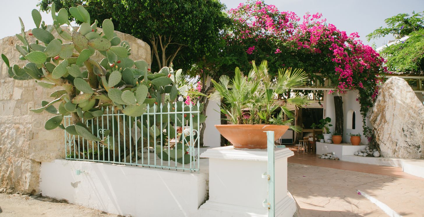Jardin