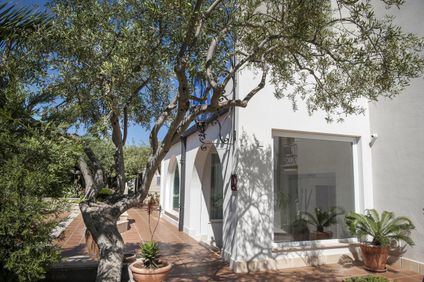 10. Bild der Unterkunft