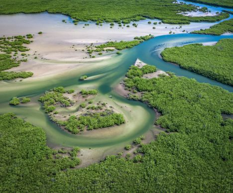 Avec sa nature magnifique et sa grande quiétude, le Sine Saloum compte sans aucun doute parmi les joyaux du pays !