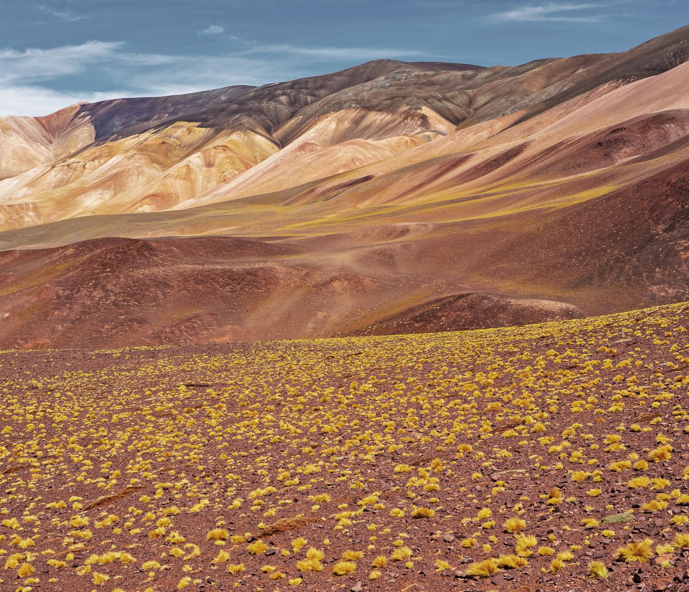 Wüste in allen Farben – der einzigartige Weg zur Laguna Brava.