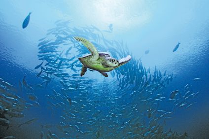 32. Bild der Unterkunft