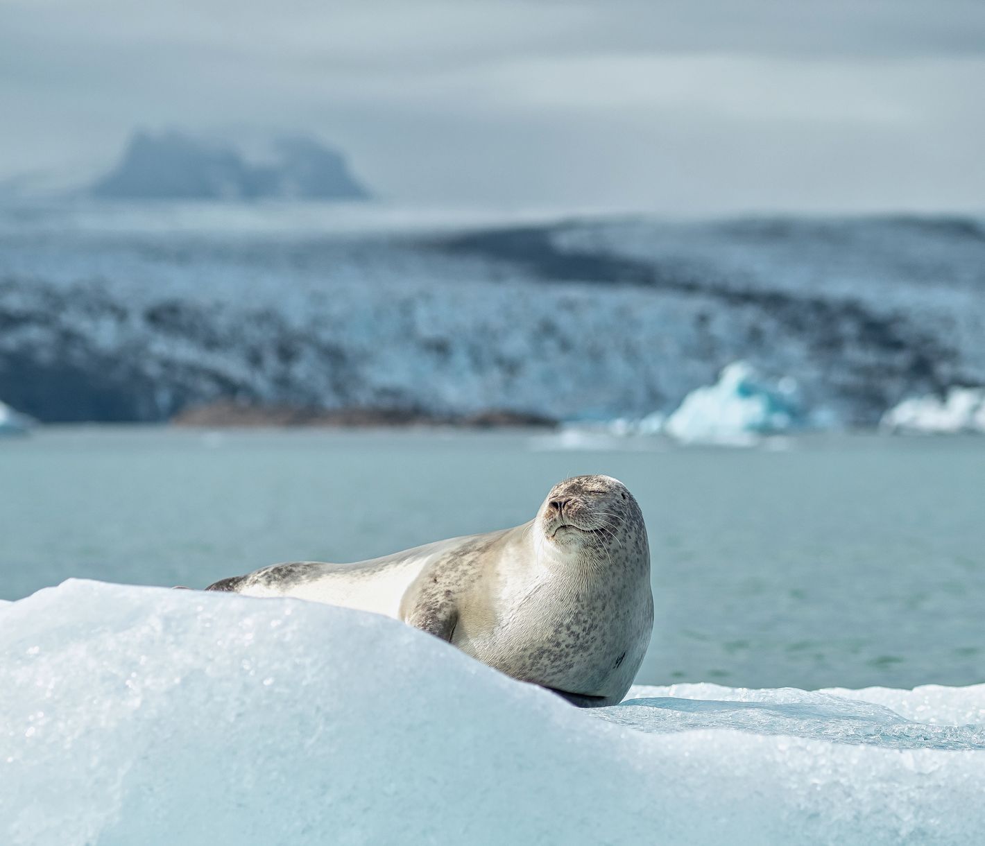Sonnenbaden im Winter