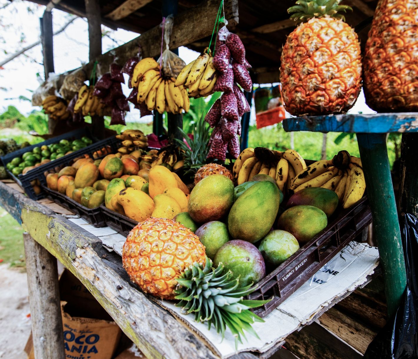 Frische Früchte am Strassenrand