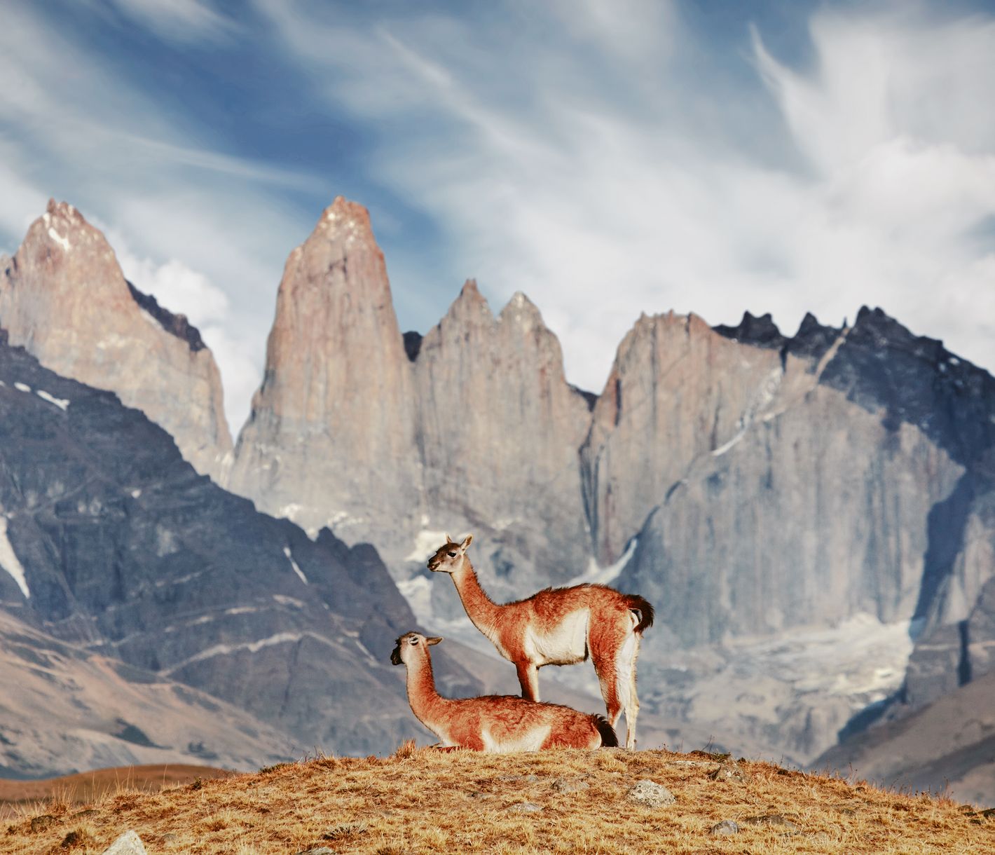 Namensgeber des  Torres del Paine Nationalparks sind die "Türme des blauen Himmels"