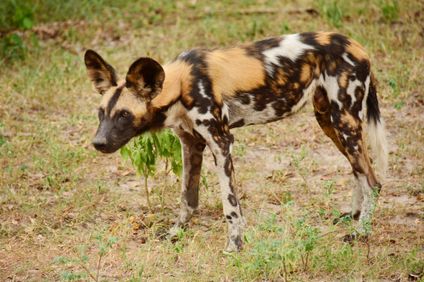 14. Bild der Rundreise