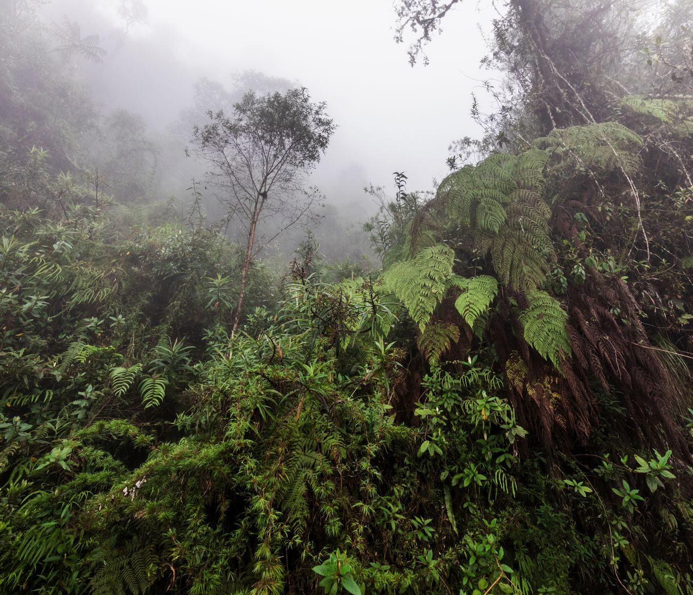 Unterwegs auf uralten Inkapfaden
