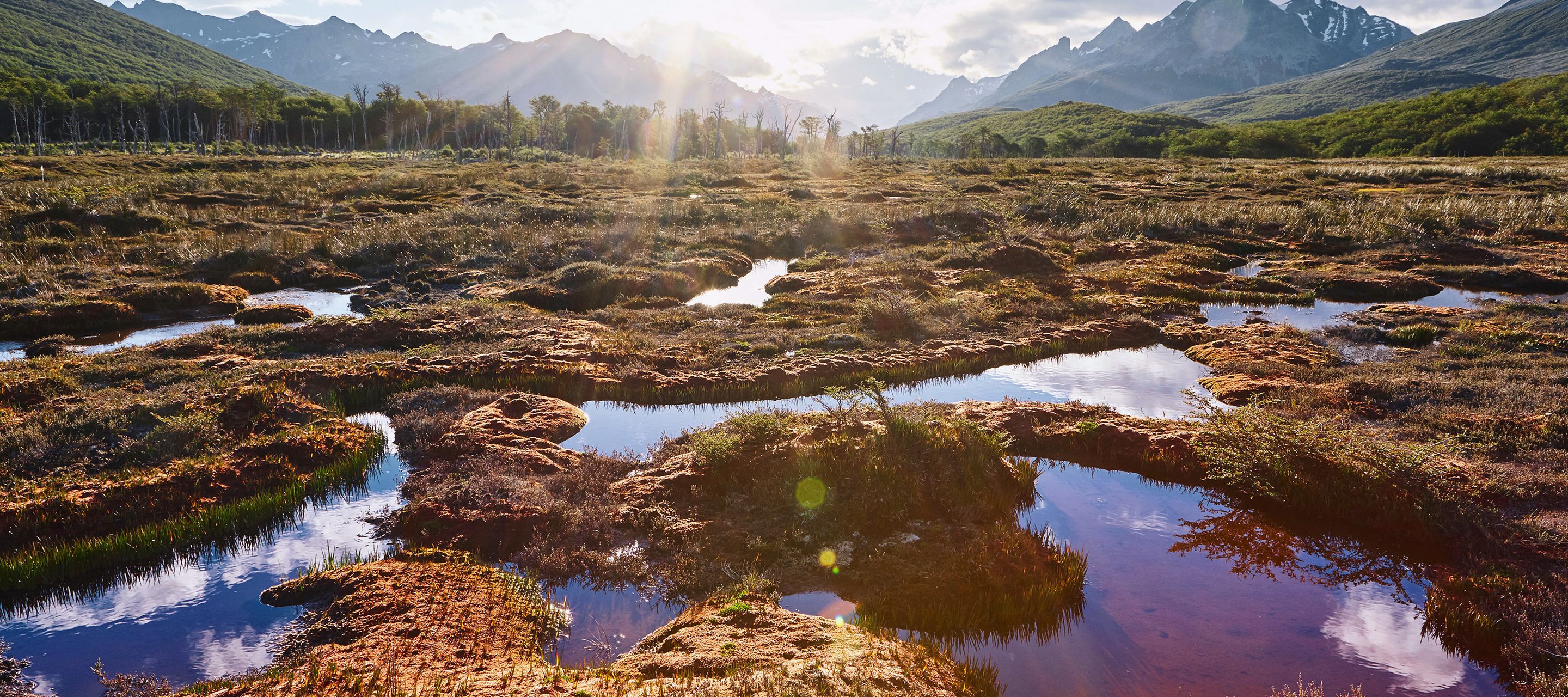 Feuerland – am Ende der Welt