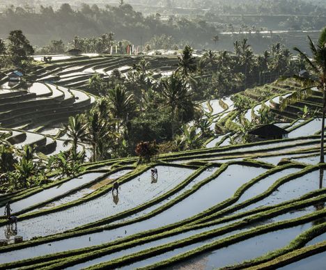 Les escaliers célestes de Bali