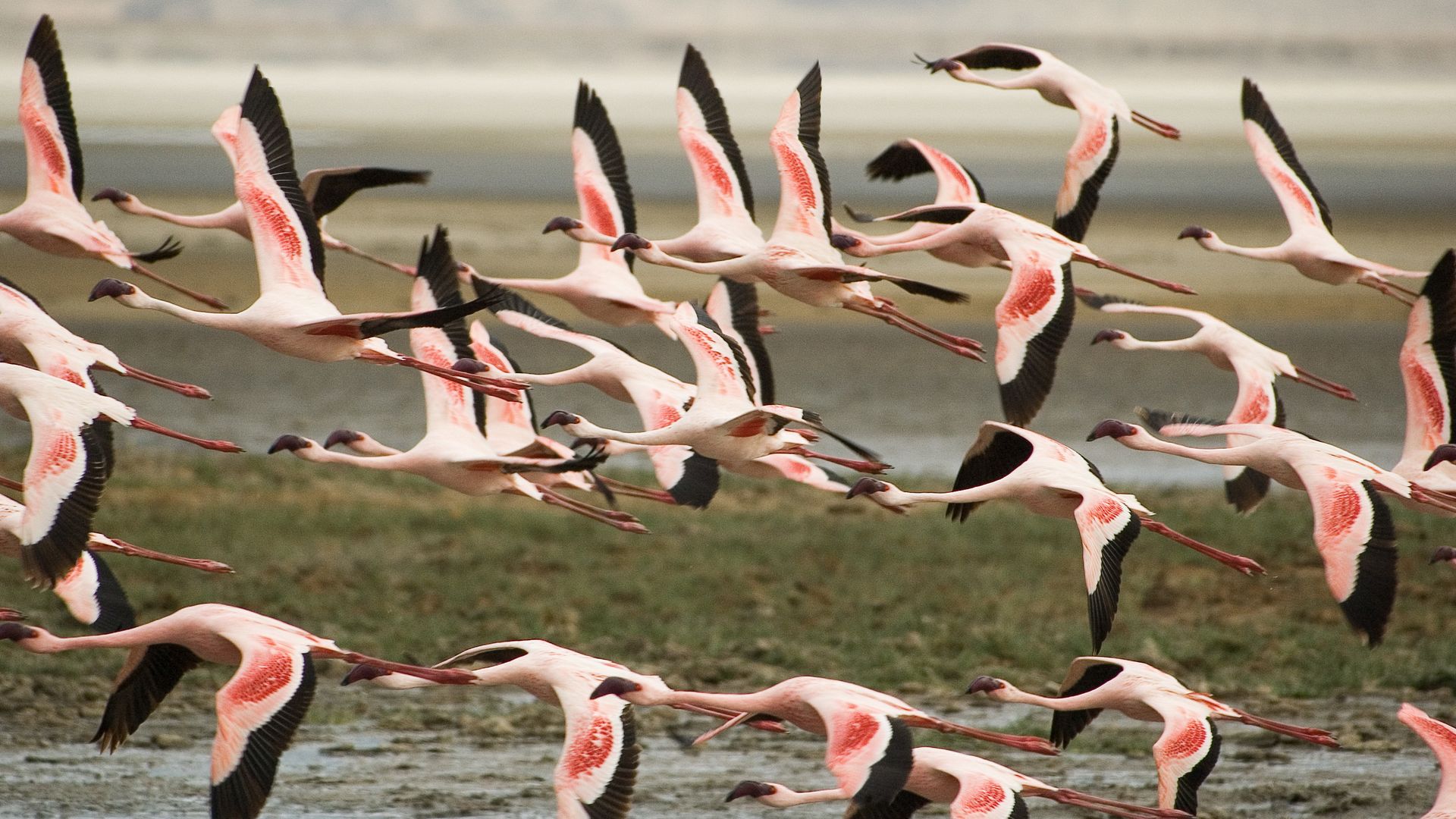 Bienvenue dans l'un des plus beaux lieux de safari d'Afrique de l'Est !