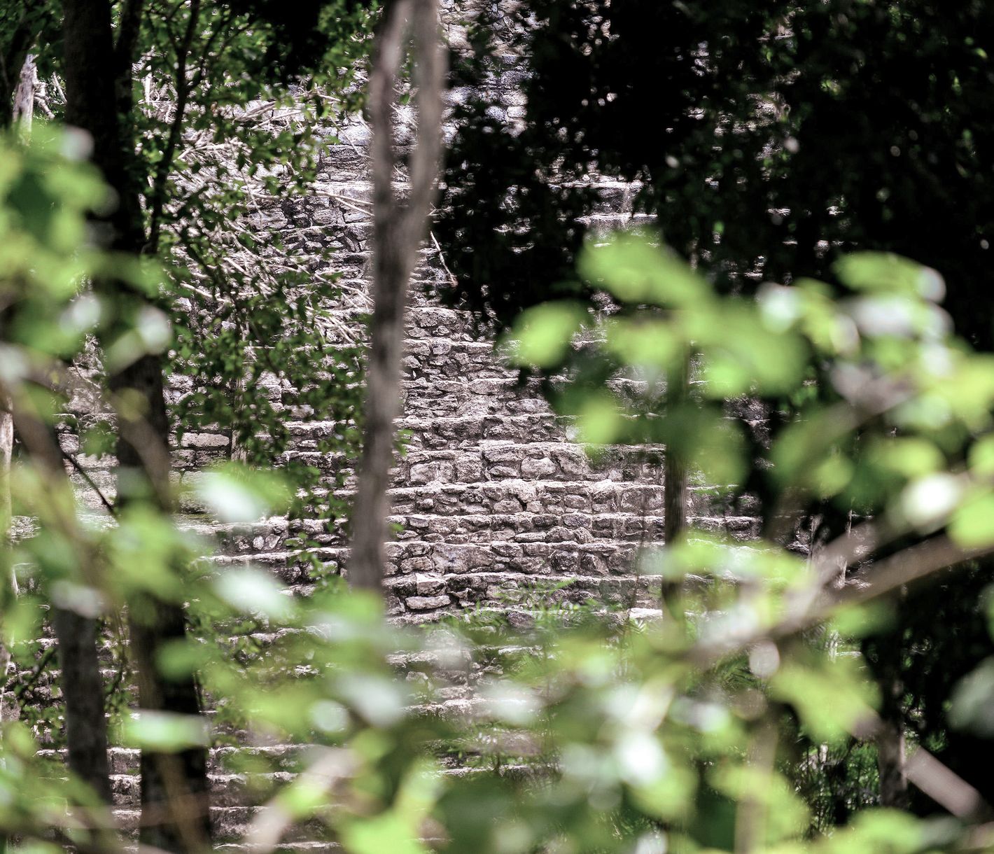 Fast 1000 Jahre im Dschungel überdauert