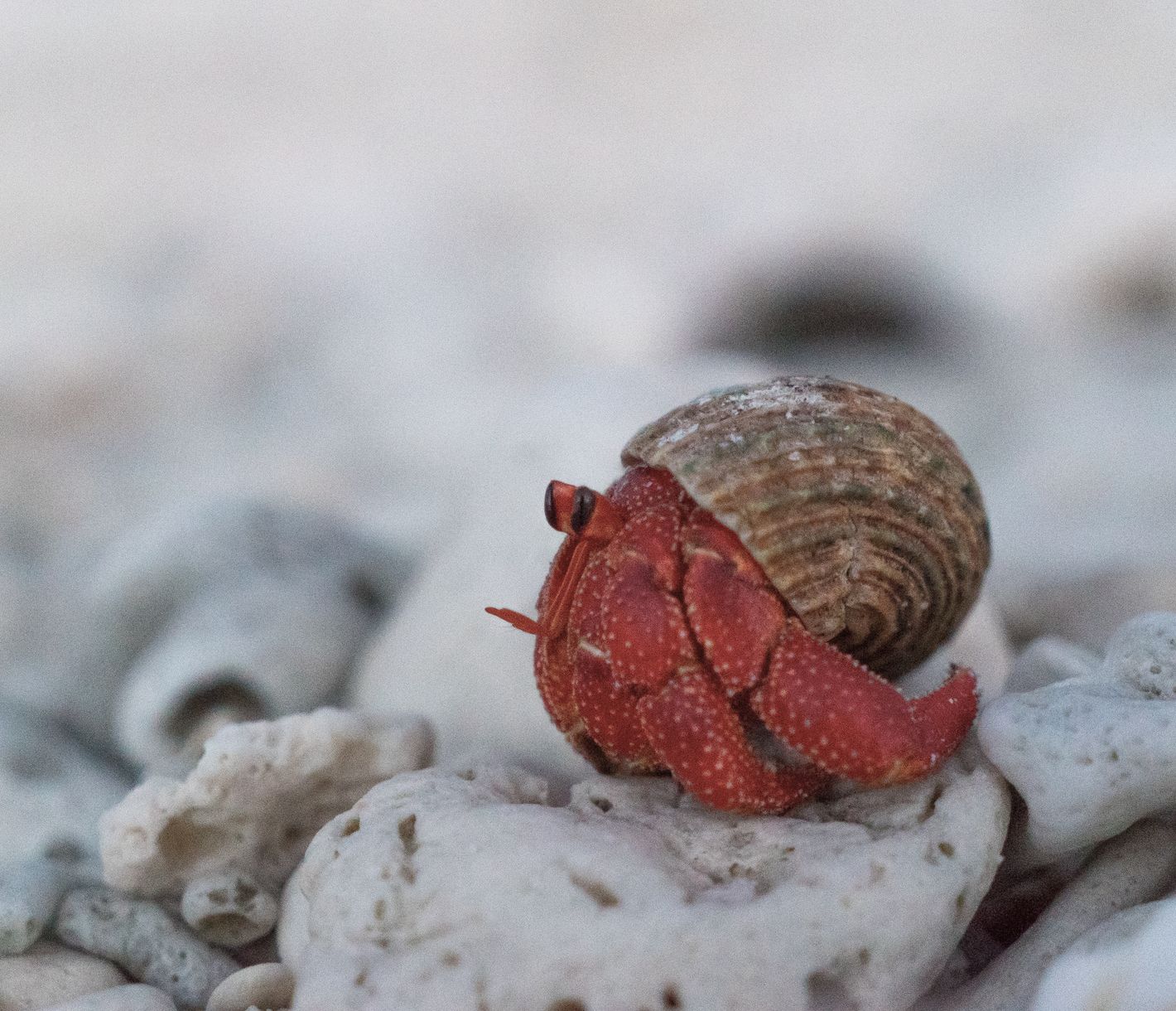 Wer ist denn da unterwegs?