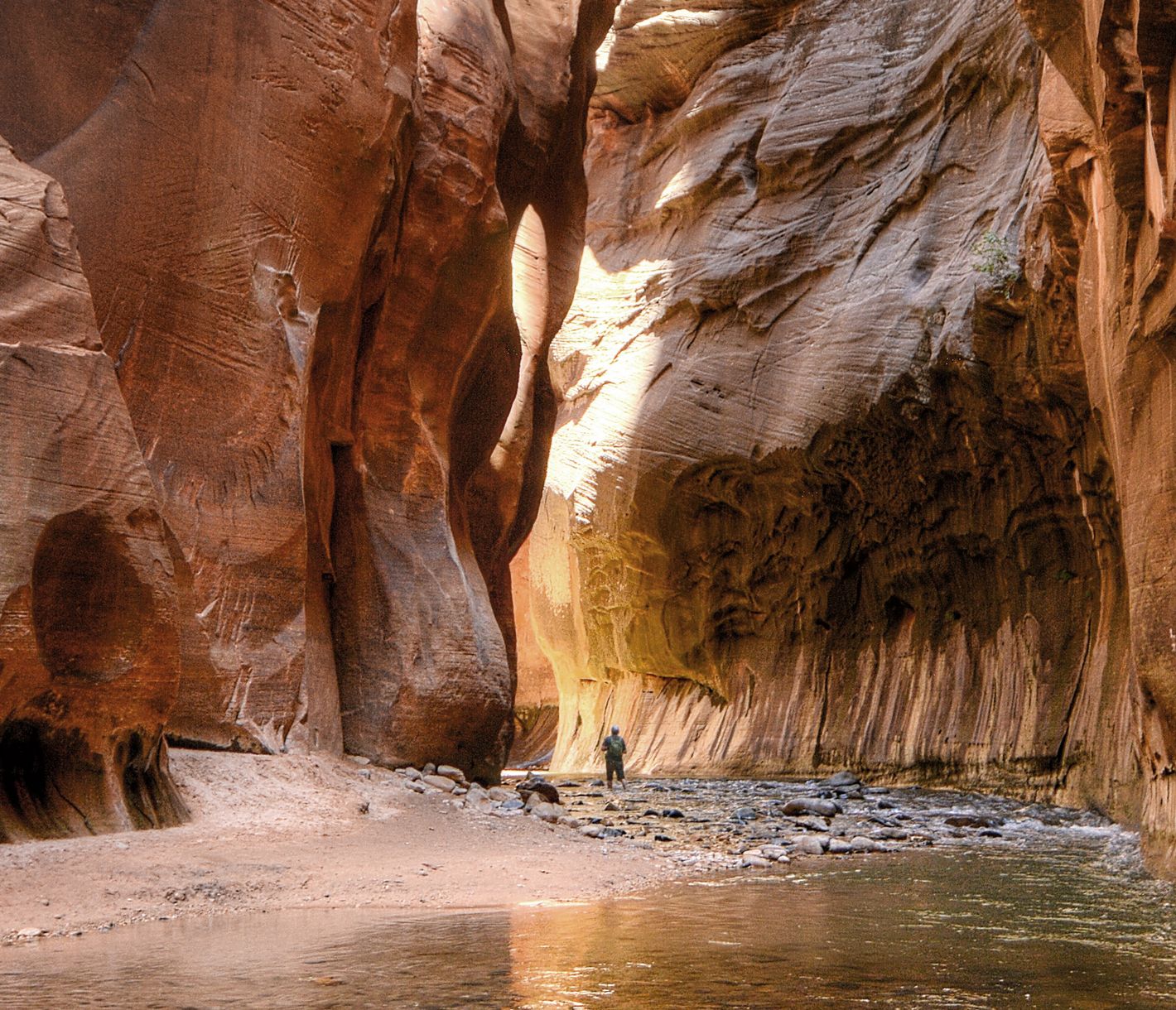 Der Zion National Park beeindruckt mit seinen roten Felsformationen, tiefen Schluchten und hängenden Gärten.