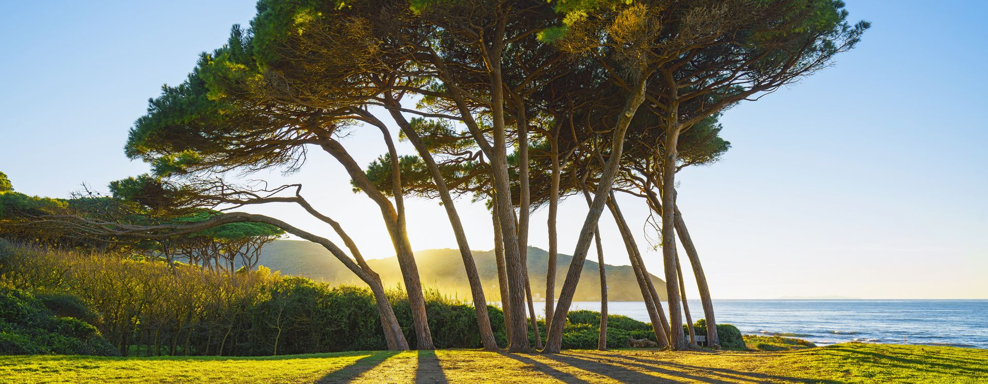 Destination image 15