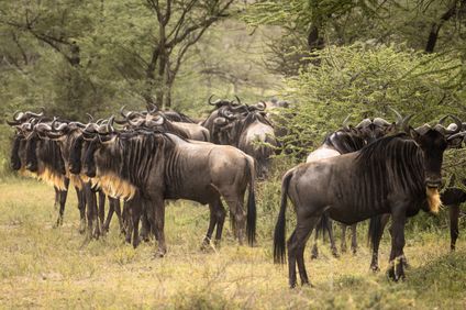 2. Bild der Rundreise