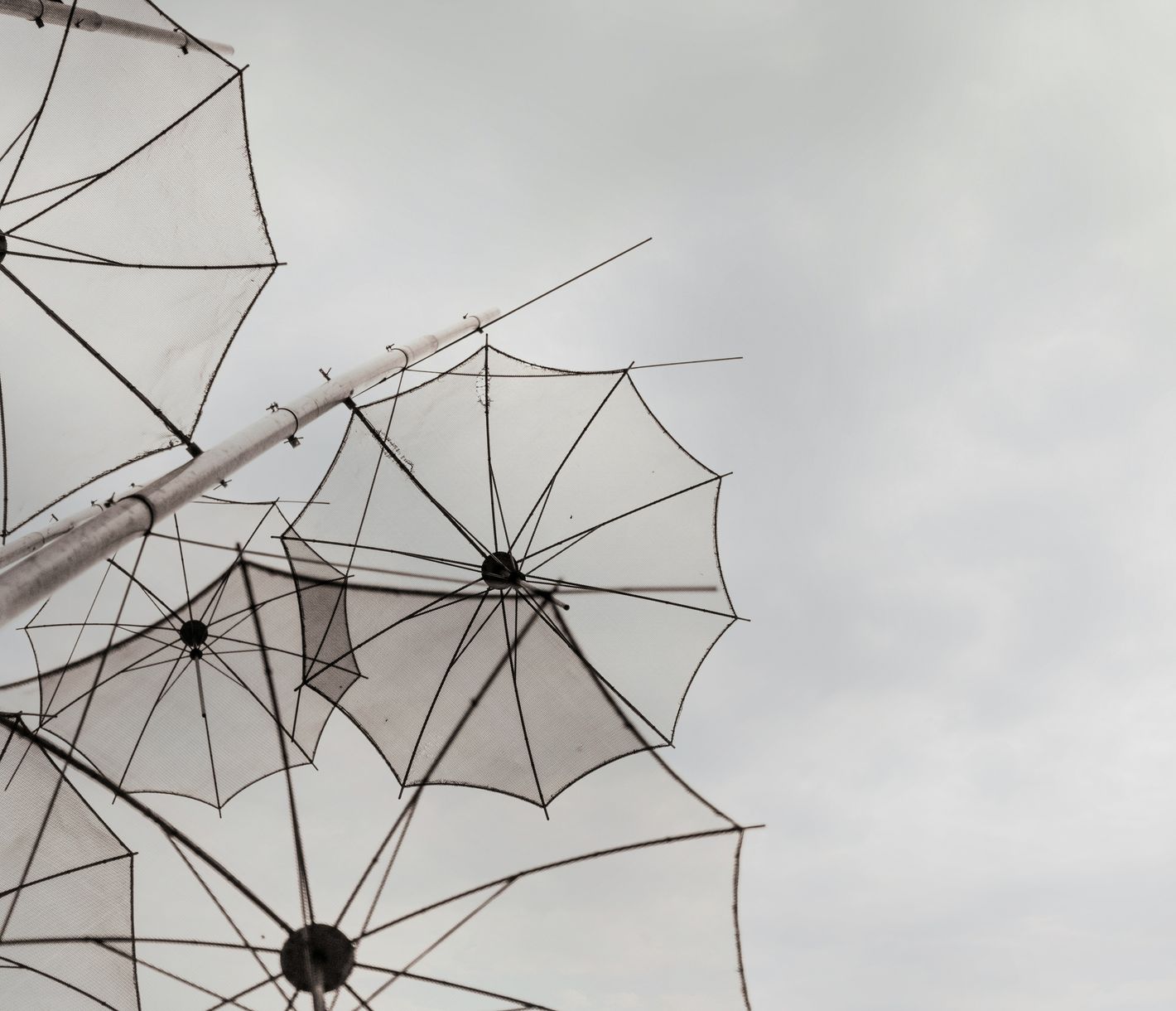 Thessaloniki Zongolopoulos