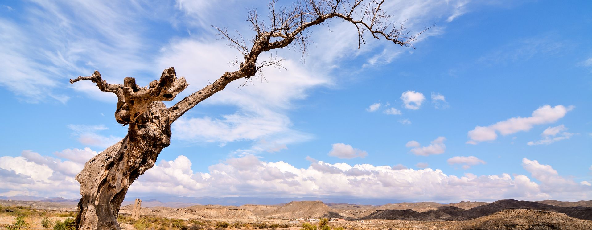 Tabernas Desert
