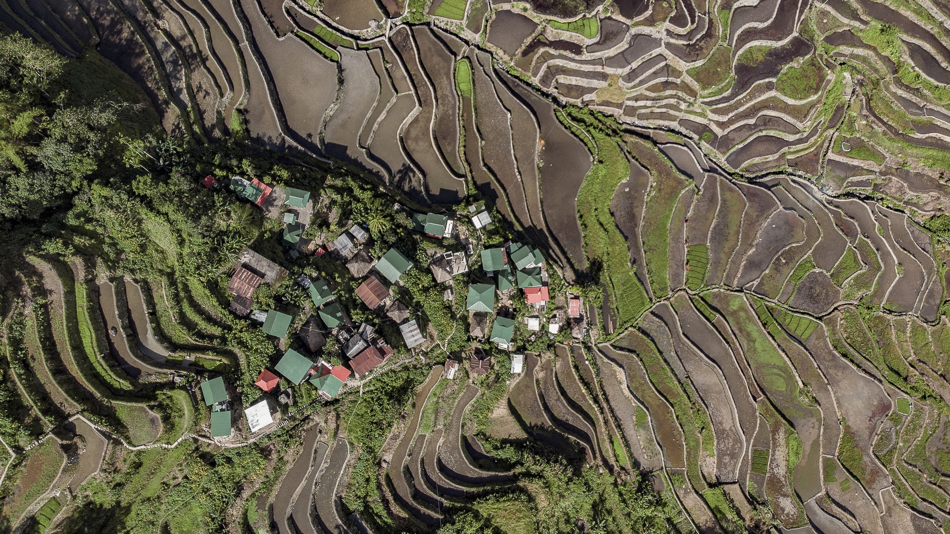 Ce charmant village typiquement Ifugao est classé par l’UNESCO au patrimoine mondial de l’Humanité.