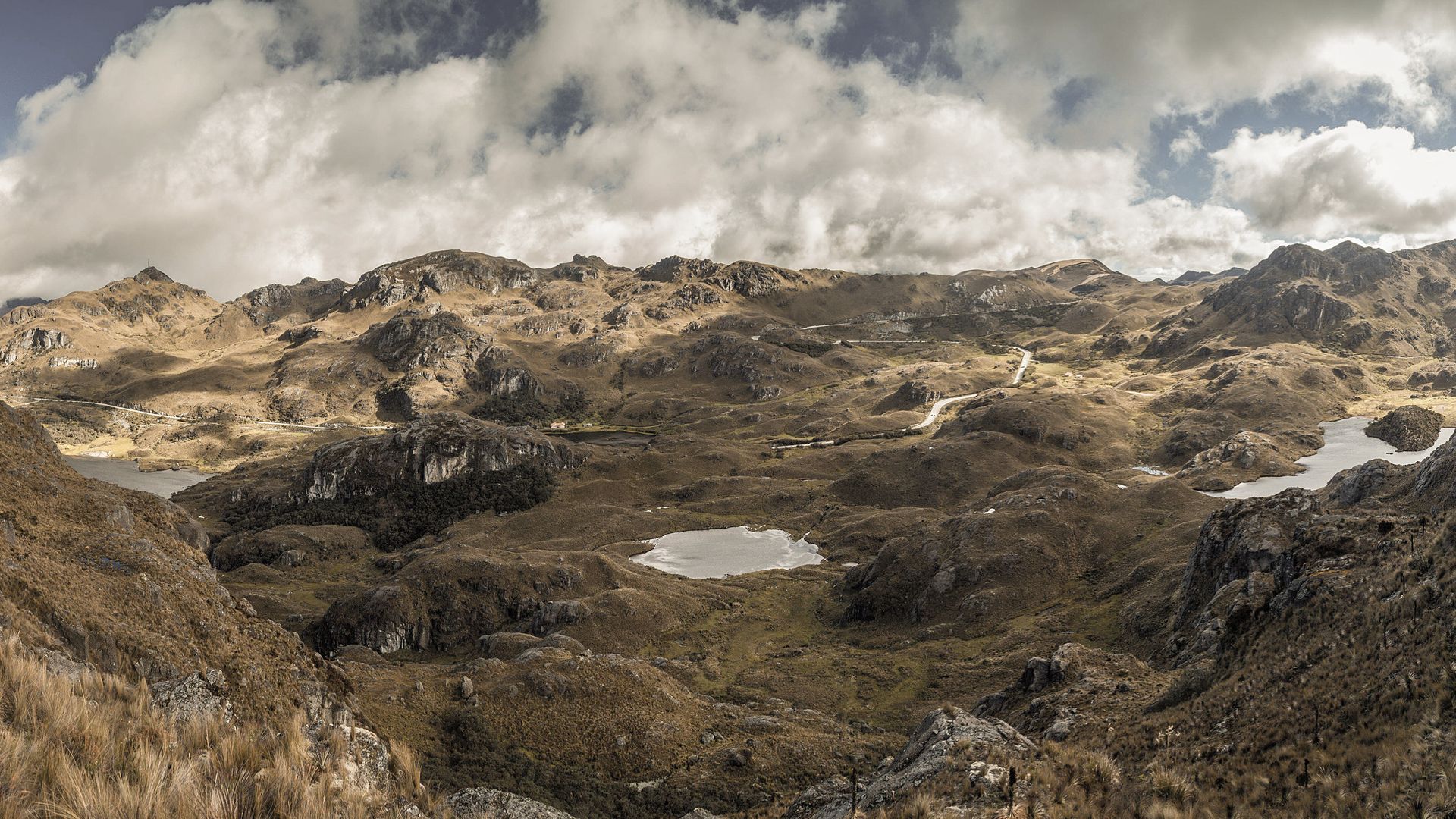 Dans les brumes du Parc National Las Cajas...