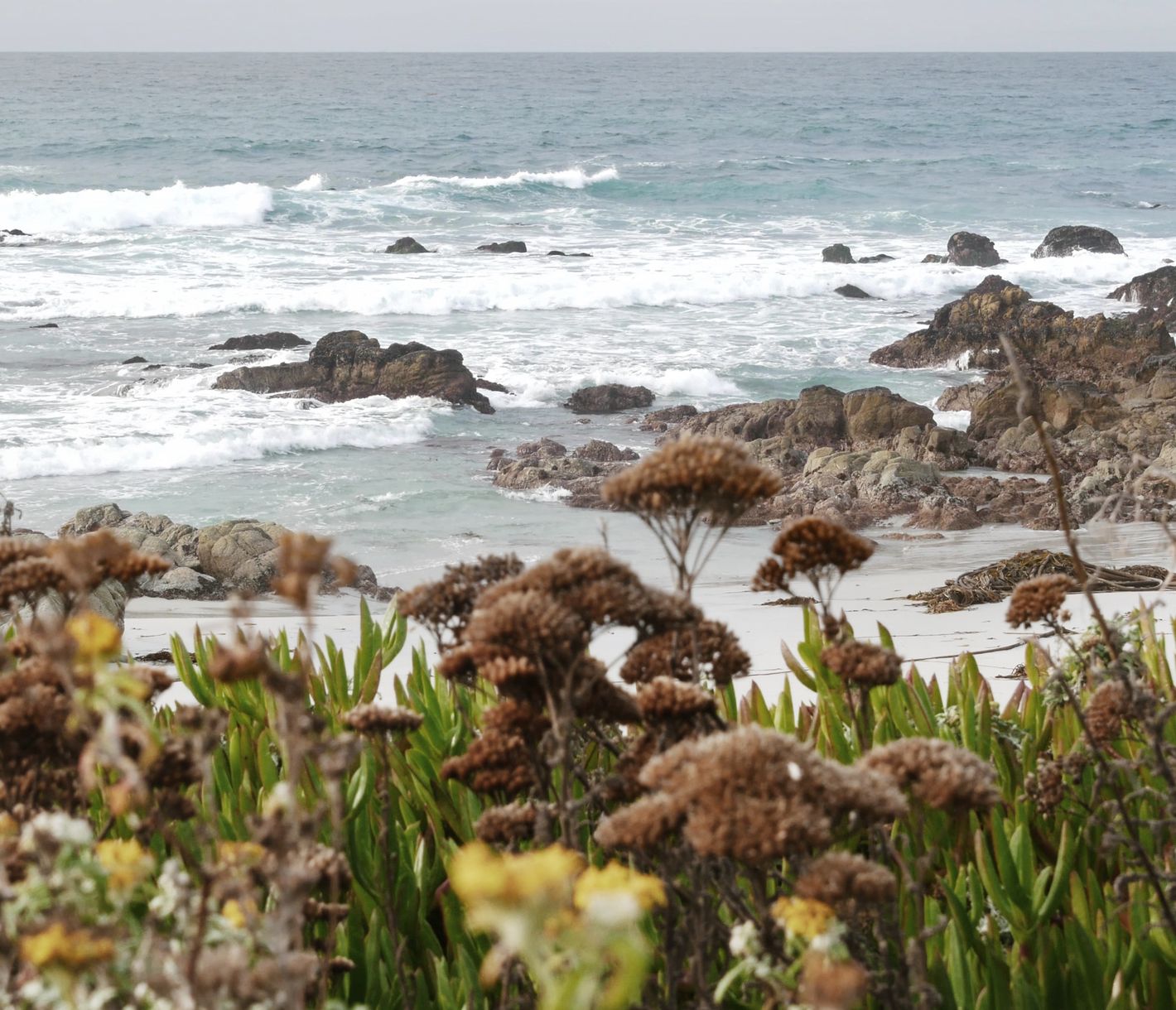 Von Monterey nach Carmel entlang der 17-Mile Drive.