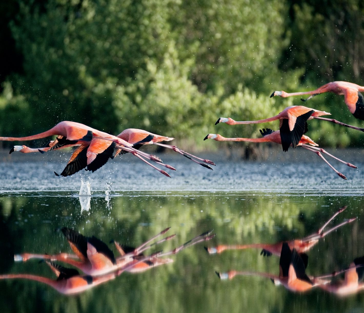 Unterwegs auf den ruhigen Gewässer der Laguna de Guanaroca.