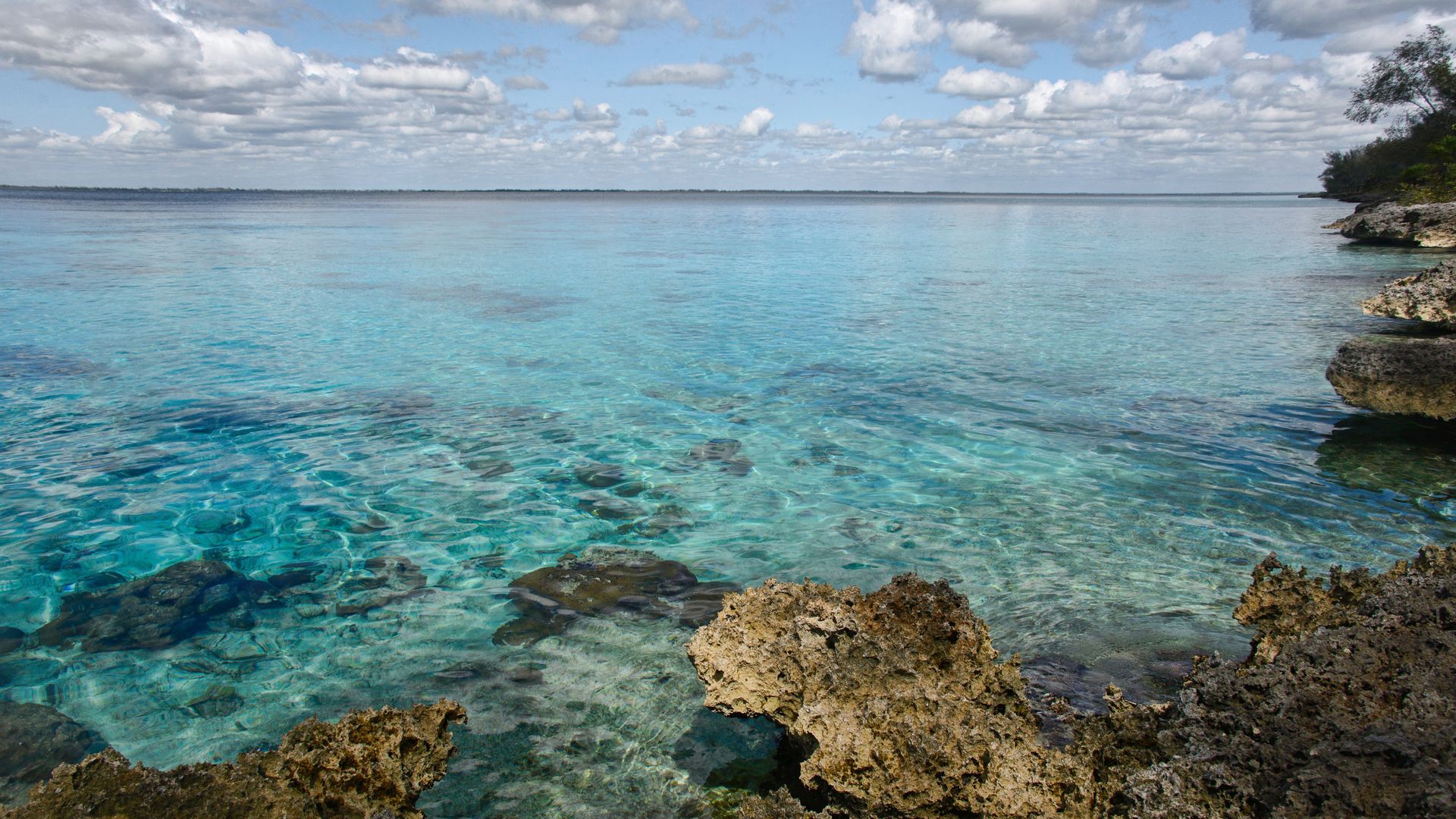 Escapade dans la mythique Baie des Cochons