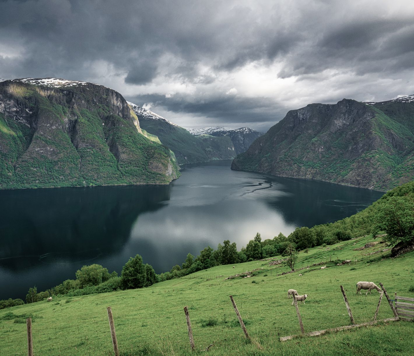 Aurlandsfjord, un des bras du Sognefjord