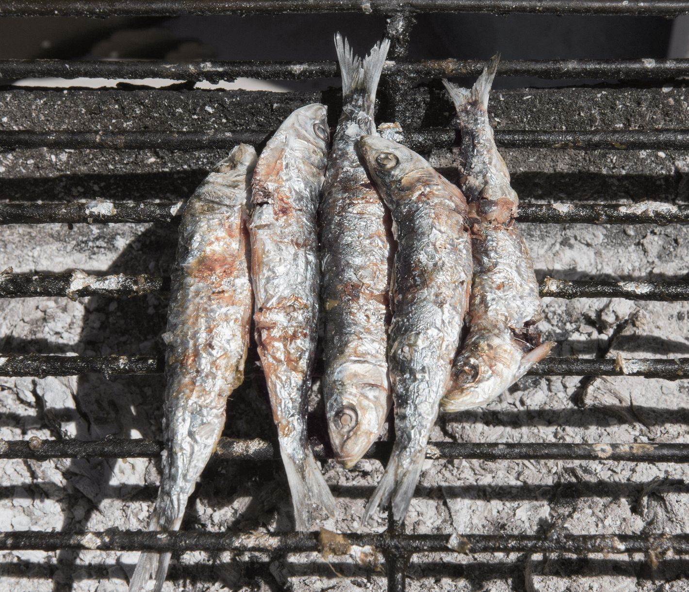 Gegrillte Sardinen sind das Herzstück der portugiesischen Küche.