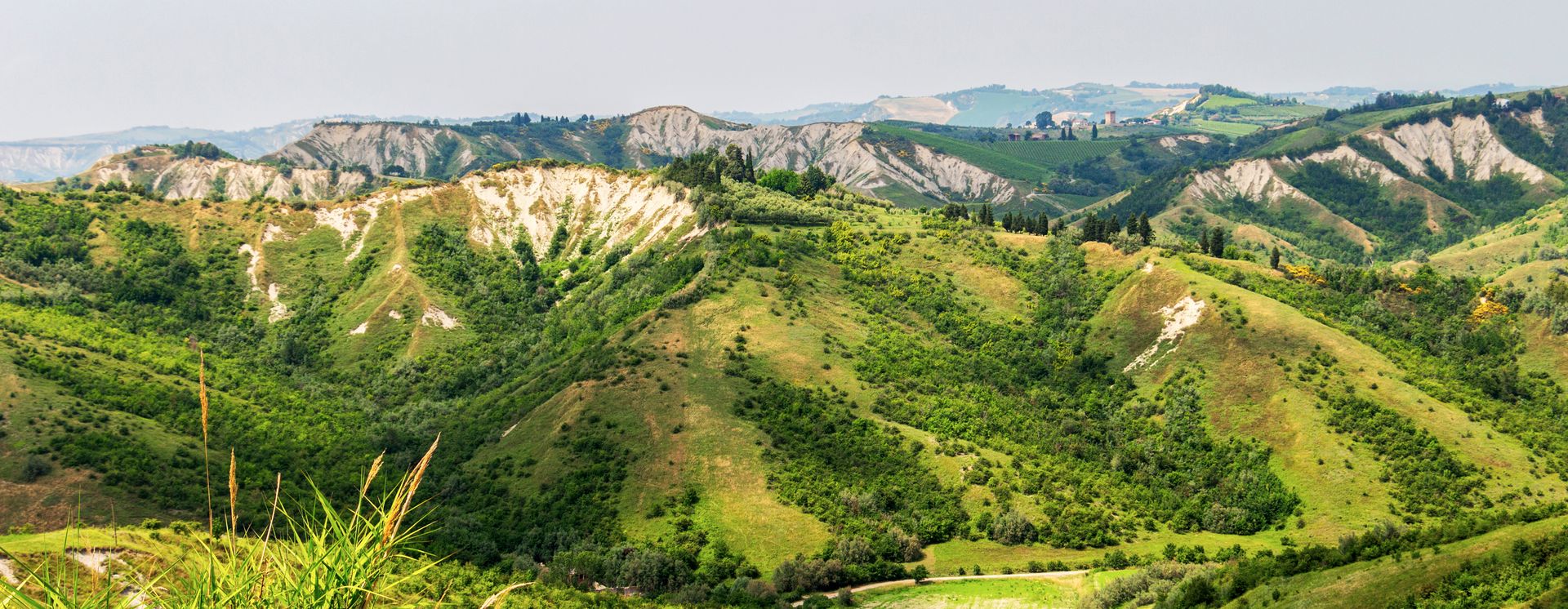Landschaft der Provinz Ravenna
